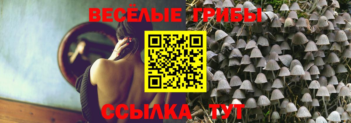 Галлюциногенные грибы мухоморы  Галлюциногенные грибы Psilocybine cubensis  Вход с VPN  Северодвинск 